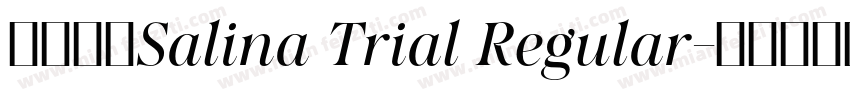 字体名称Salina Trial Regular字体转换